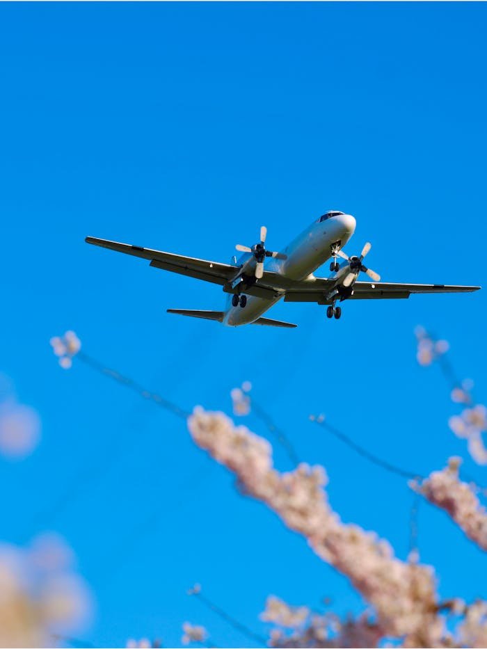 A propeller plane soaring in a clear blue sky with cherry blossoms below, signaling springtime travel.
