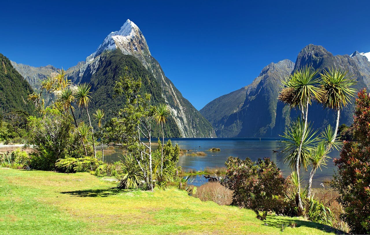 Breathtaking view of Milford Sound with Mitre Peak, lush greenery, and clear blue skies.